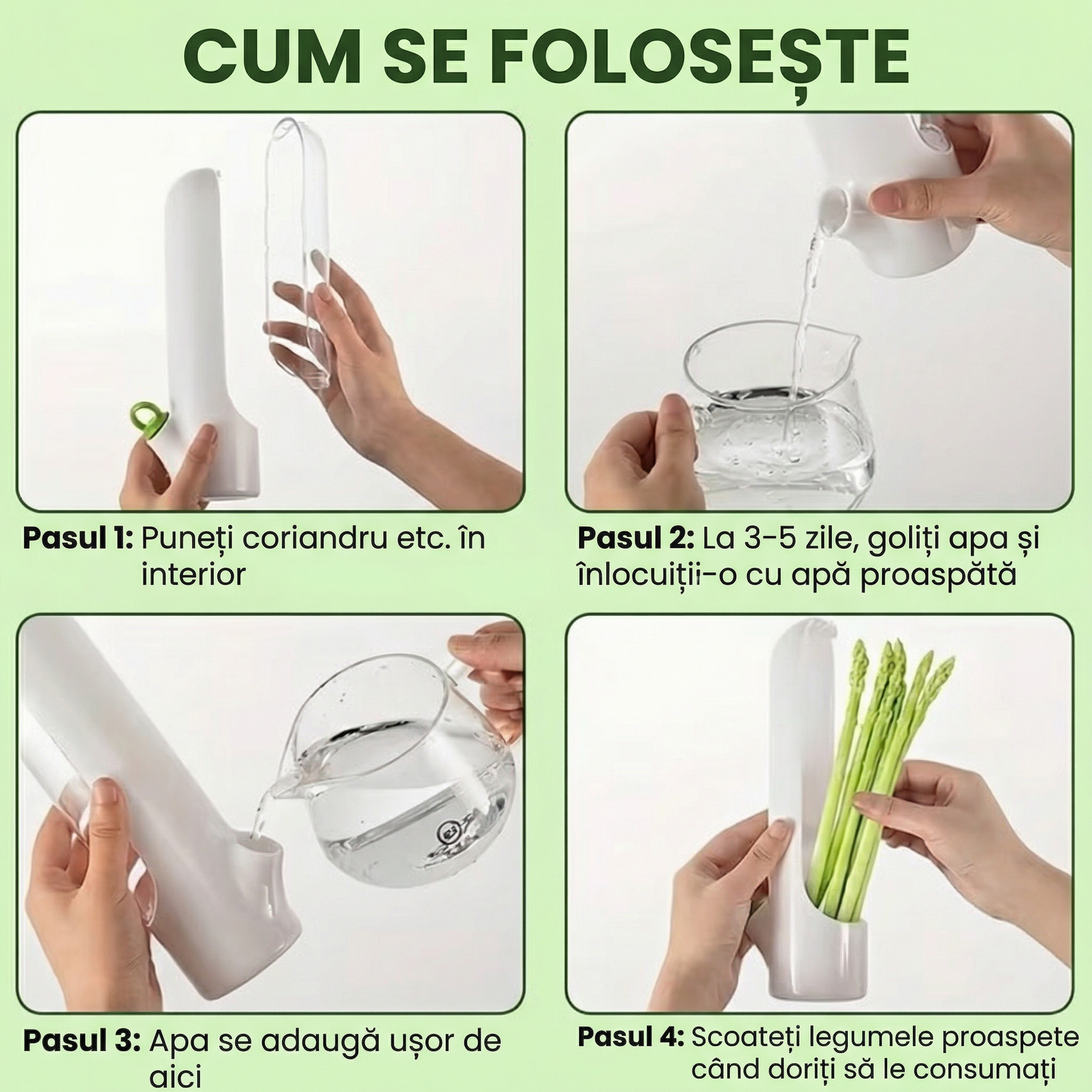 Containere pentru Păstrarea Ierburilor Proaspete