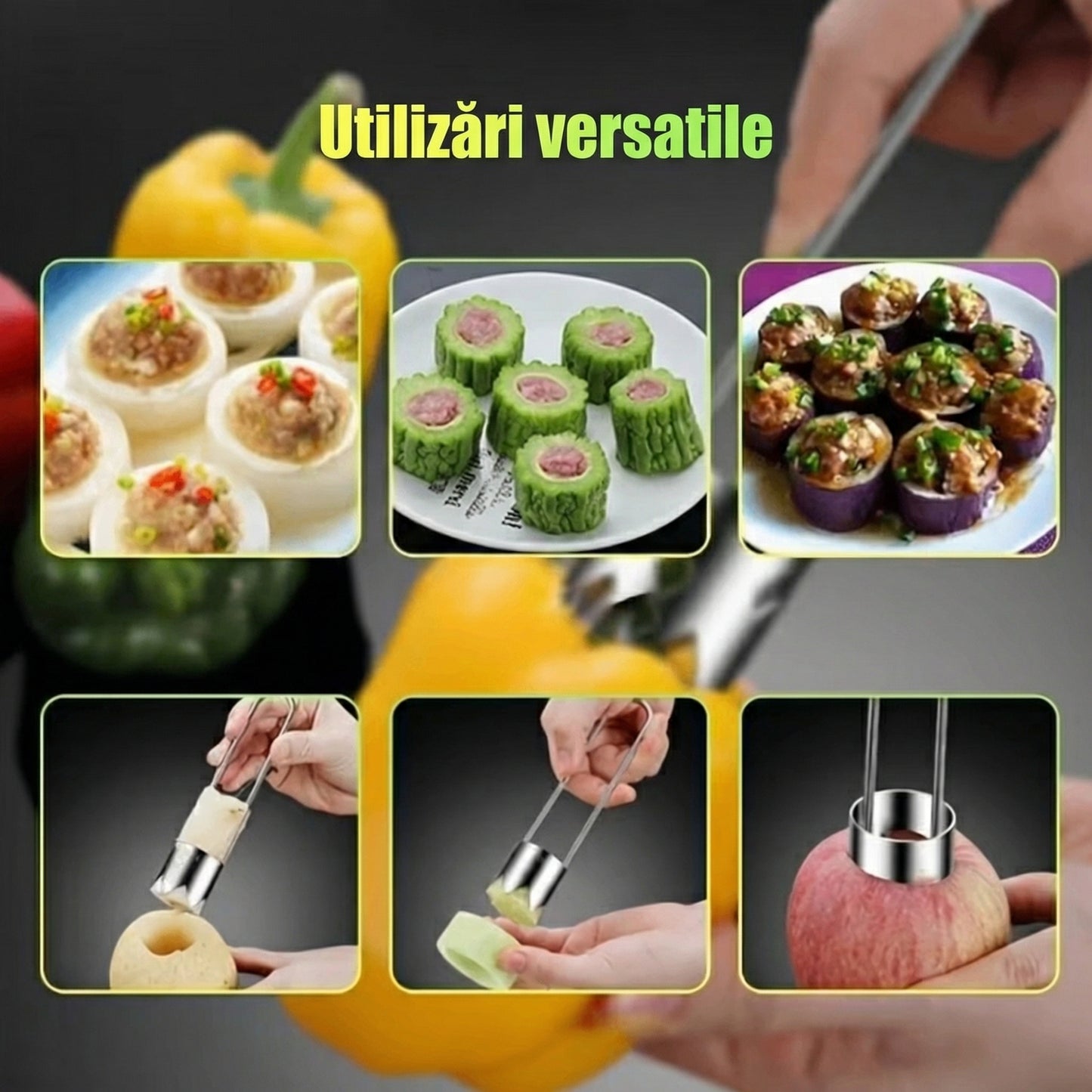 Extractor de Semințe din Oțel Inoxidabil