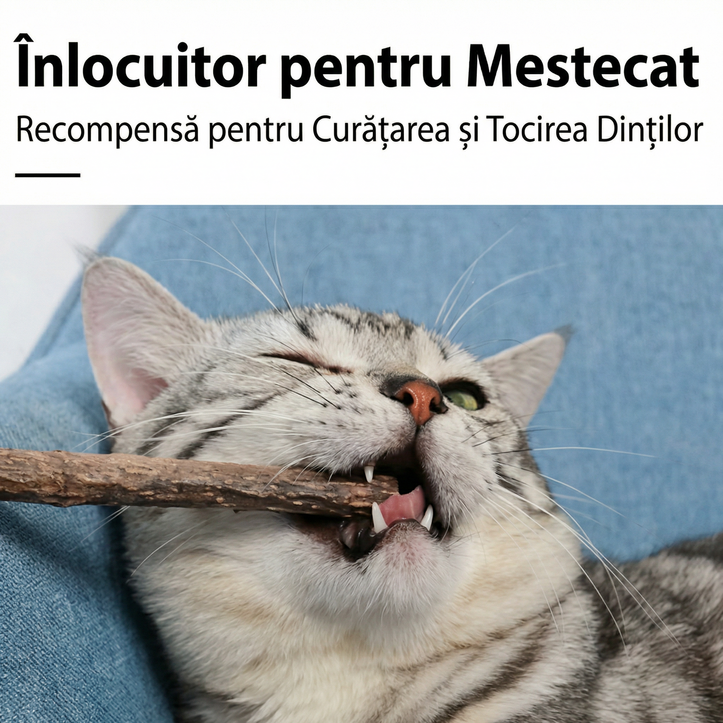Set 20 Bețișoare din Lemn pentru Pisici – Bețișoare de Ros cu Iarba Pisici, Jucării pentru Curățarea Dinților și Masajul Gingiilor