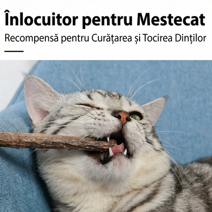 Set 20 Bețișoare din Lemn pentru Pisici – Bețișoare de Ros cu Iarba Pisici, Jucării pentru Curățarea Dinților și Masajul Gingiilor