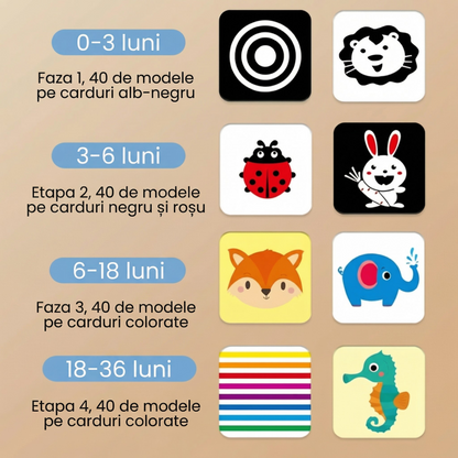 Carduri de Stimulare Vizuală pentru Bebeluși - pentru Învățare Timpurie și Dezvoltare Cognitivă