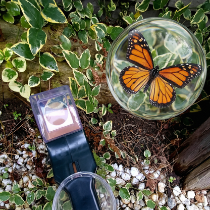 Capcană de Insecte pentru Prindere și Eliberare