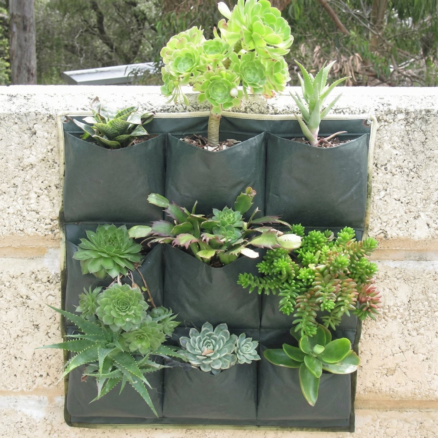 Jardinieră Verticală de Perete cu 9 Buzunare pentru Plante