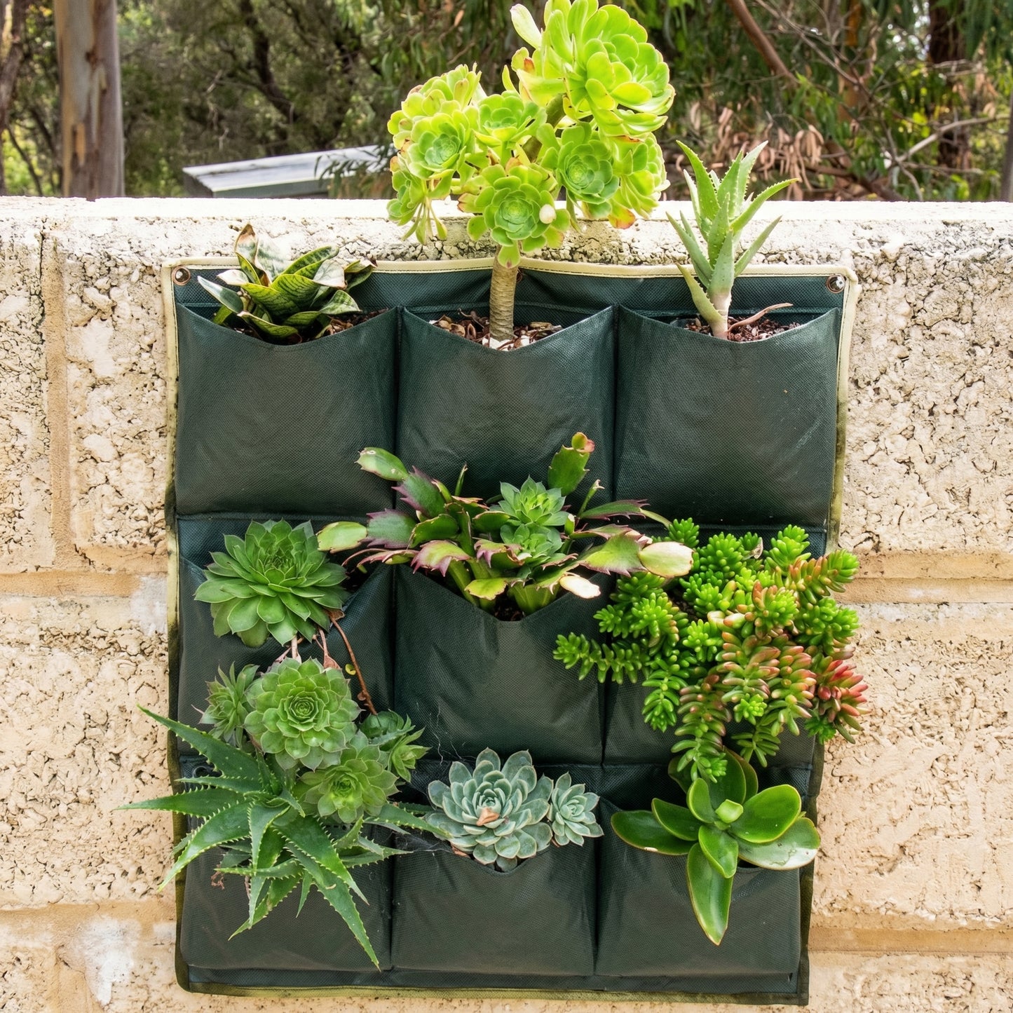 Jardinieră Verticală de Perete cu 9 Buzunare pentru Plante