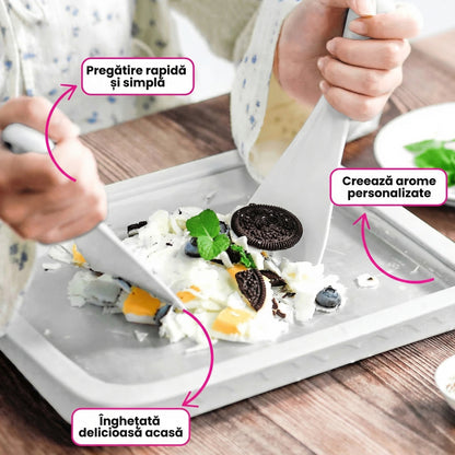 Tavă pentru Înghețată De Casă Cu Iaurt Sau Lapte Cu Două Spatule Incluse