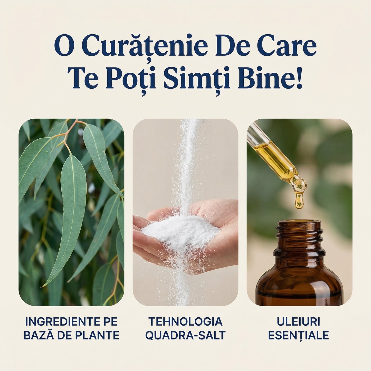 Set de Bureți Organici 100% Natural pentru Orice Suprafață