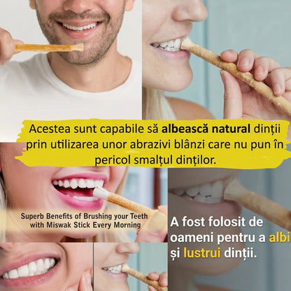 Baton de Curățare a Dinților cu Periuță din Ramură Naturală cu Aromă de Mentă