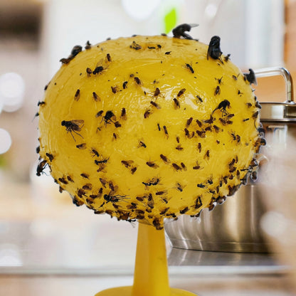 Capcană Lipicioasă pentru Insecte