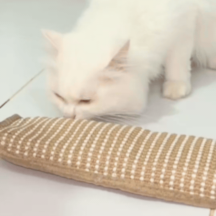 Jucărie de Mestecat și Zgâriat