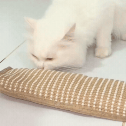 Jucărie de Mestecat și Zgâriat