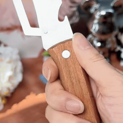 Curățător 2 IN 1