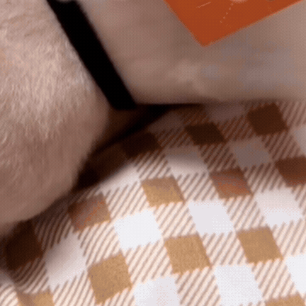 Guler Veterinar pentru Animalele de Companie
