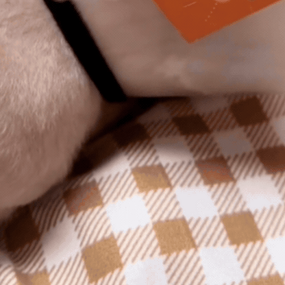 Guler Veterinar pentru Animalele de Companie