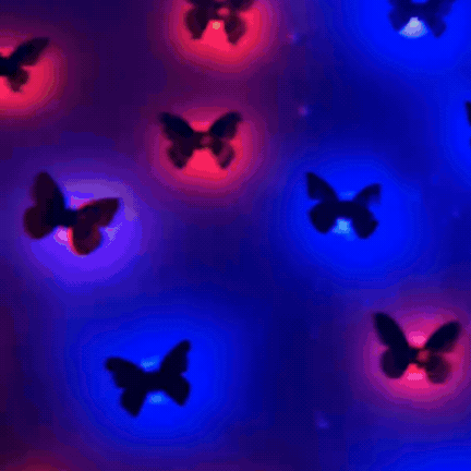 Set Fluturi Cu Lumini LED