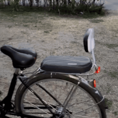 Scaun de Copii pentru Bicicletă